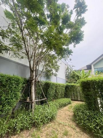 🏡 ขายบ้านเดี่ยว "หลังมุม" สวยพร้อมอยู่ ตกแต่งใหม่ทั้งหลัง! 📍 โครงการบางกอก บูเลอวาร์ด พระราม 5 (Bangkok Boulevard Rama 5) 3