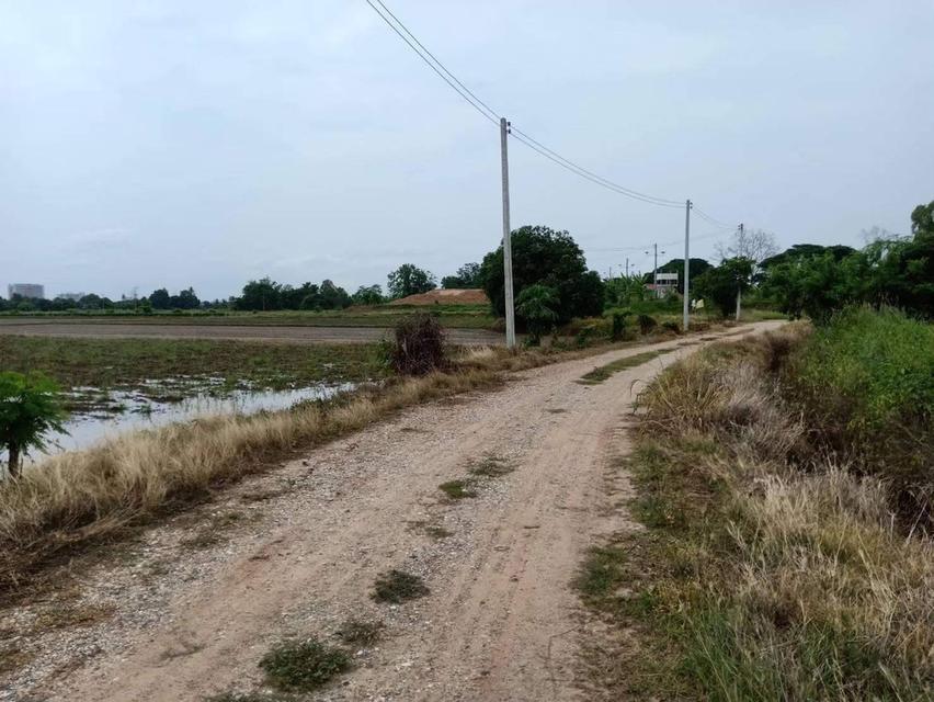 ขายที่ดิน 9.2 ไร่ พิษณุโลก ในเมือง 10