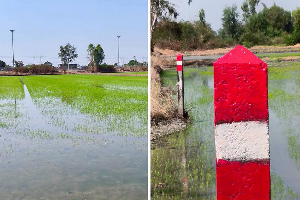ขายที่ดินคลองสาม คลองหลวง ปทุมธานี แปลงใหญ่ 36 ไร่เศษ ผังสีชมพู ใกล้วัดพระธรรมกาย (เจ้าของขายเอง) 9