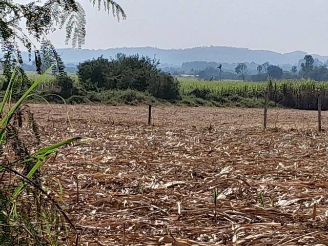 คุ้มค่าน่าลงทุนทรัพย์ในดิน ที่ปากช่อง 2ไร่- 8ไร่ โฉนด ต.วังไทร อ.ปากช่อง จ.นครราชสีมา ไร่ละ 2.9 ลบ.สูงจากระดับน้ำทะเลมาก 1