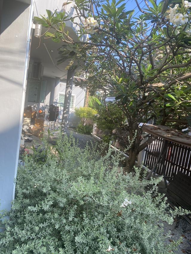 ที่ดิน พร้อมทาวน์โฮม 4 ชั้น ใกล้ รร.บดินทร์เดชา (สิงห์ สิงหเสนี) 7