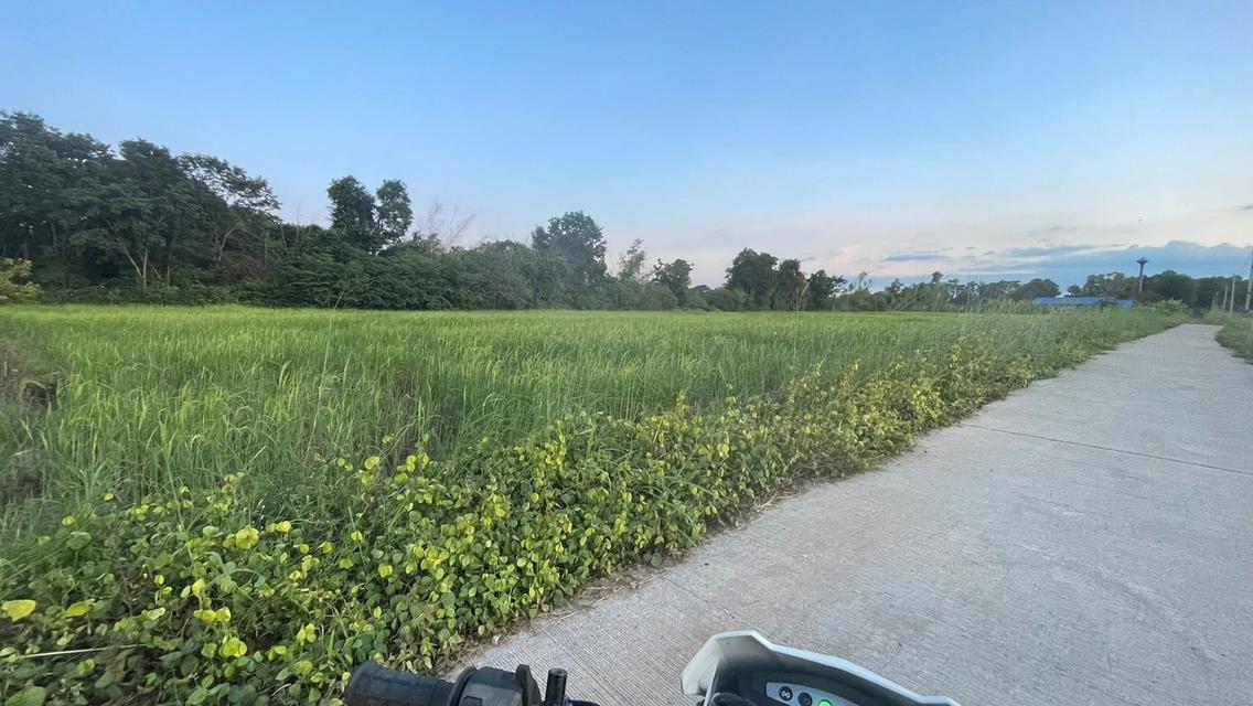 ขายที่ดินในเขตเทศบาล 1 ไร่ 2 งาน 76 ตรว. 4