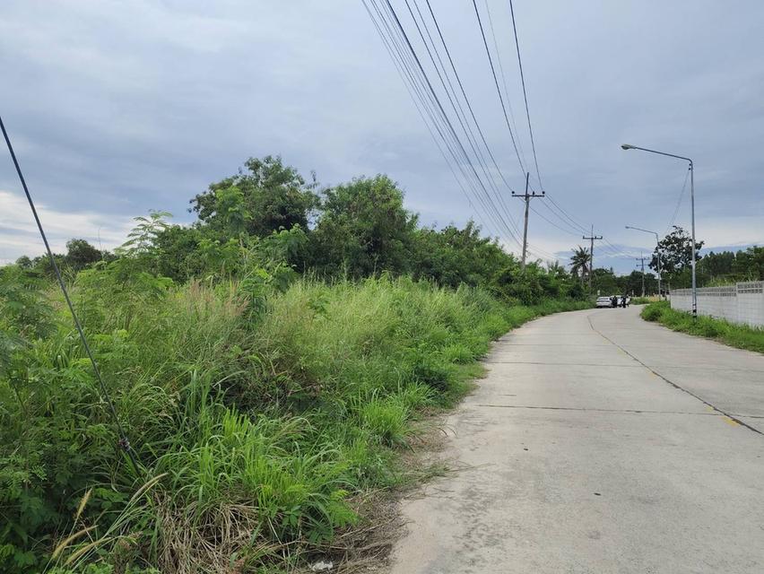 ขายด่วนที่ดินทำเลดี💥ใกล้โรงเรียนนานาชาติ ใกล้สนามบินอู่ตะเภา 3