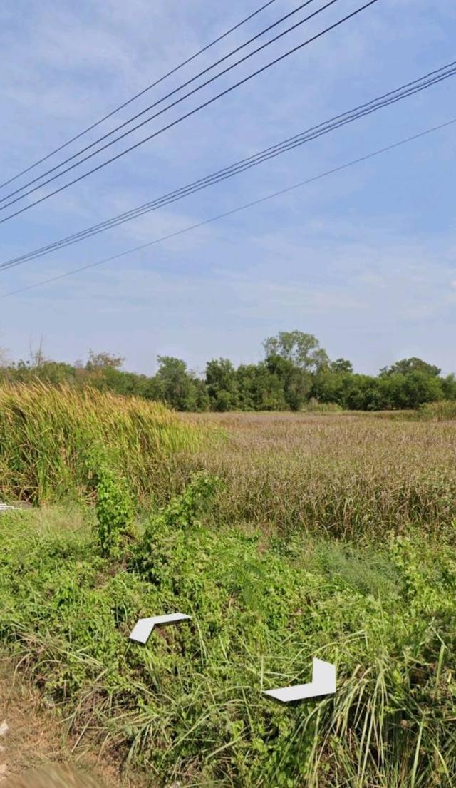 ขายที่ดินถนนสุวินทวงศ์ กรุงเทพฯ 4