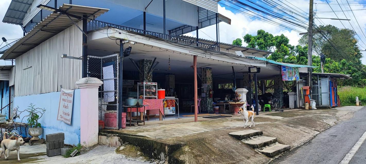 🏡🌿 ขายที่ดินพร้อมสิ่งปลูกสร้าง 10 ไร่กว่า ตรงข้ามโรงแรมกัซซัน ขุนตาน กอล์ฟ แอนด์ รีสอร์ท อ.แม่ทา จังหวัดลำพูน 14
