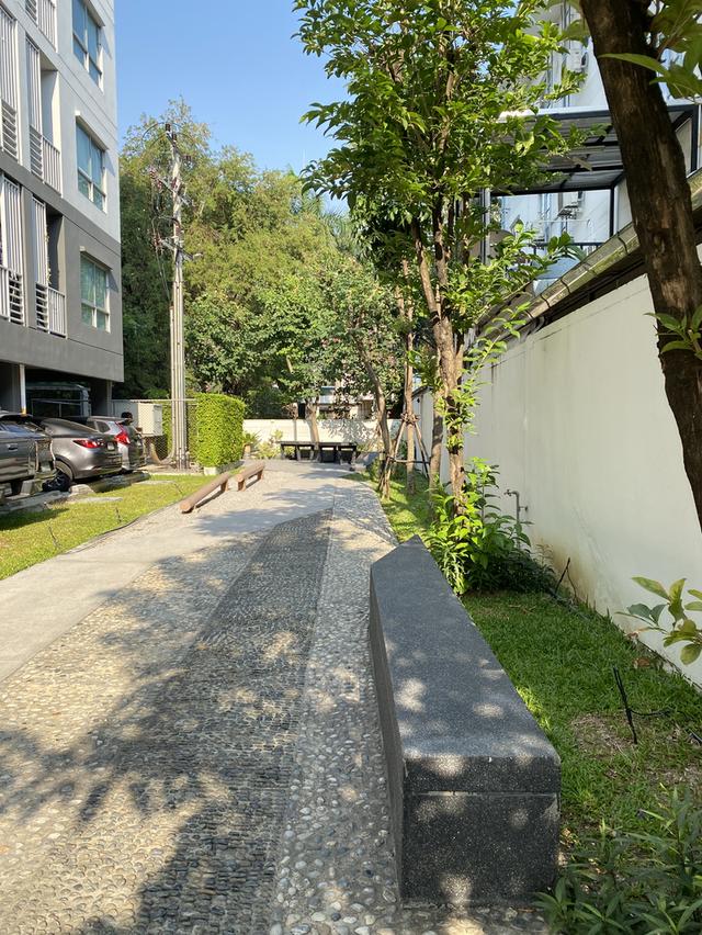 คอนโดบ้านร่วมทางฝัน4 19