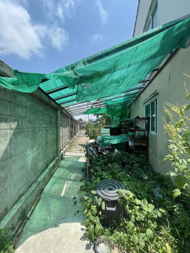 ขายบ้านทาว์นโฮม แปลงพื้นที่ดินบ้านหลังเดียวที่ใหญ่ที่สุดในหมู่บ้าน หลังริมสุด 80.9ตารางวา 3ห้องนอน2ห้องน้ำ ราคาพูดคุยกันได้ พร้อมโอน รูปย่อยที่ 3