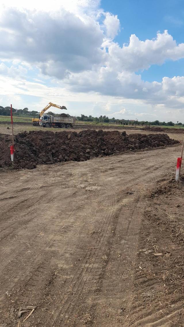  land for sale Nakhon Pathom ขายที่ดินเปล่าสวยมาก กำแพงแสน แบ่งขายได้ แปลง 5 ไร่ เหมาะทำหอพักนักศึกษา ใกล้ มหาลัยเกษตรศาสตร์ กำแพงแสน 5