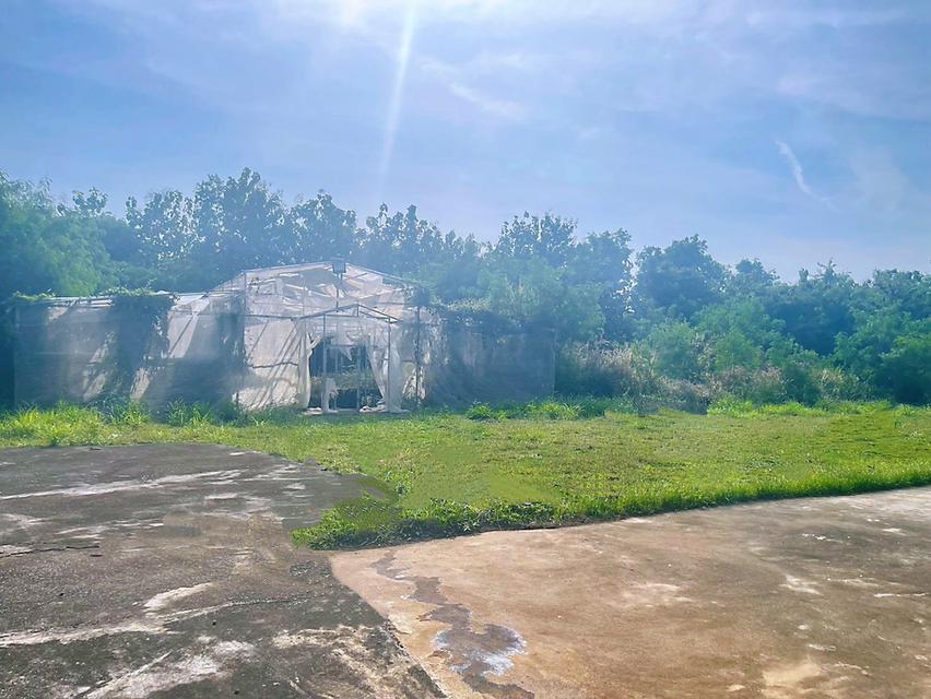 บ้านและที่ดิน 1 หลัง 2