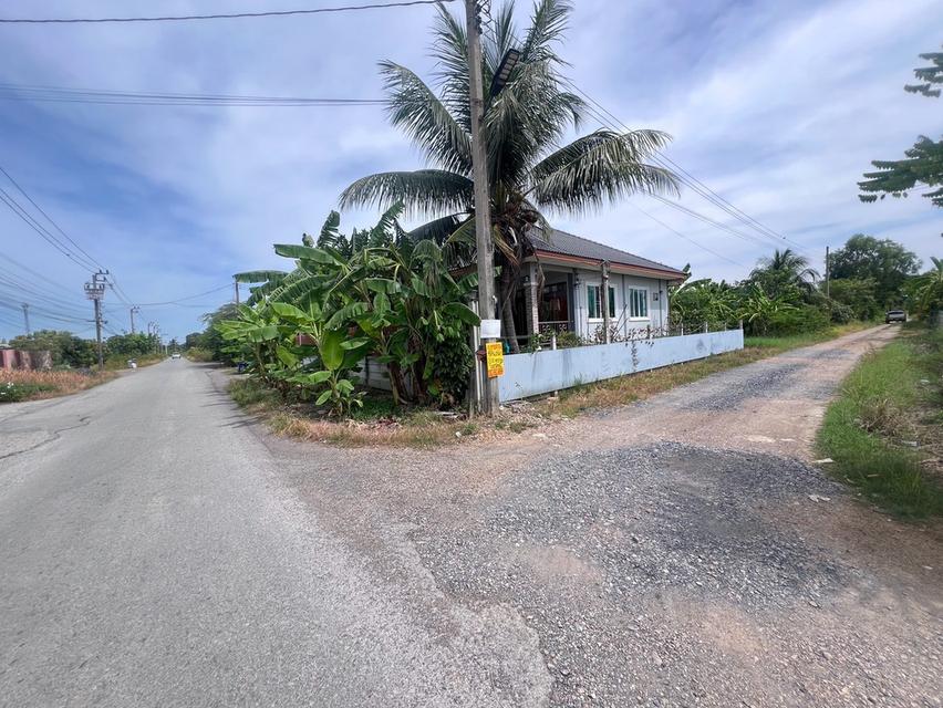 ขายที่ดินเปล่า คลองสิบ หนองจอก ใกล้โรงเรียนสุเหร่าคลองสิบเอ็ด 3