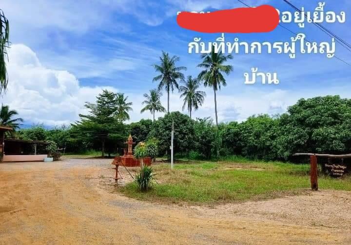 ที่ดิน 200ตารางวา เขากระปุก ท่ายาง เพชรบุรี 11
