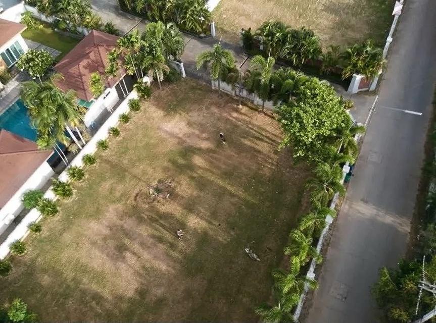 ขายที่ดินพัทยาเหมาะทำพูลวิลล่าสุดหรู–ทำเลที่อยู่อาศัยระดับพรีเมียม 7