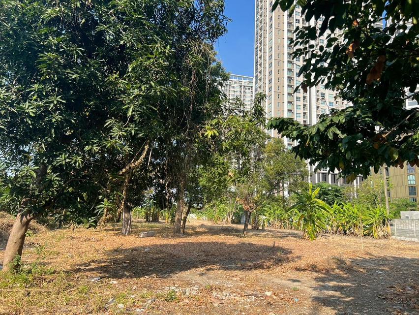 ขาย / ให้เช่า ที่ดินแปลงใหญ่ติดถนนพระราม 9 เนื้อที่ 7-2-85 ไร่ **เจ้าของขายเอง** 4