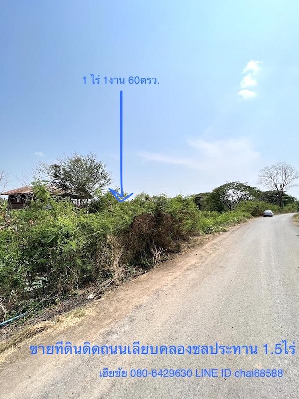 ขายที่ดินบายพาส 1-1-60ไร่ ใกล้ห้างไทวัสดุ โฮมโปรบายพาส ใกล้ถนนบายพาส ทล.204 เหมาะพัฒนาเป็นบ้านสวน