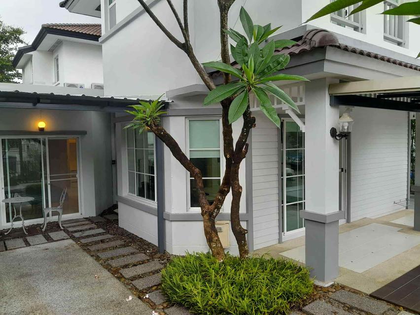 ขายบ้านเดี่ยว 56.30ตรว.รีโนเวทแล้ว (House Renovated)