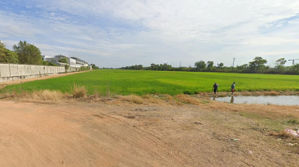 ขายที่ดินเปล่า สีม่วงลาย ฉะเชิงเทรา 4