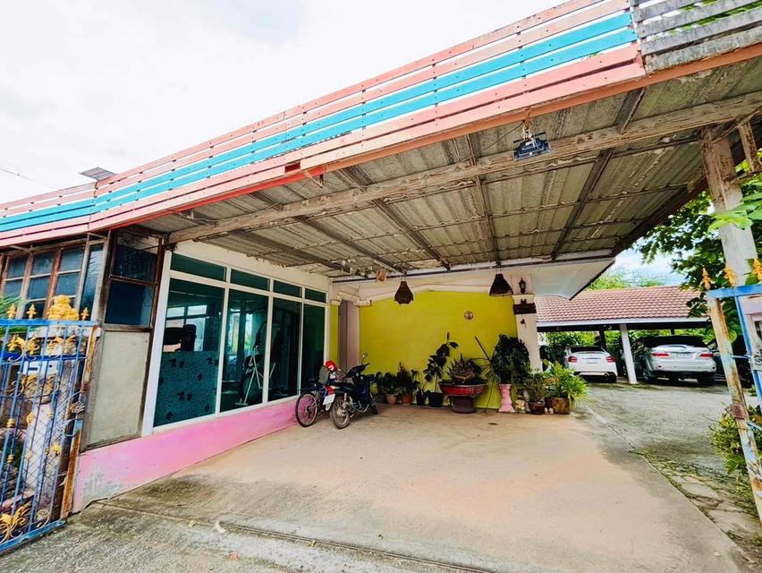 ขายบ้านเดี่ยว 2 ชั้น 93 ตารางวา ทำเลอยู่หลังวัดม่วงศรี บ้านโนนม่วง ใกล้ มข. 2