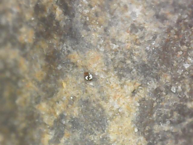 พระกำแพงซุ้มกอ พิมพ์ใหญ่มีกนก 5