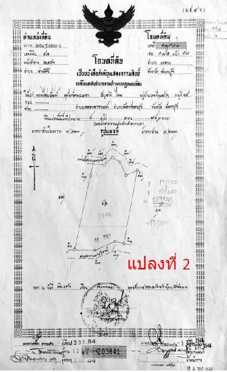 ขายที่ดิน. สวนยางพร้อมตัดได้เลย! และ ไม้กฤษณา อายุ 20 ปี 3