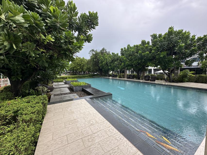 ขายทาวน์โฮม 2 ชั้น Habitown Nest ท่าข้าม – พระราม 2 ✨ เจ้าของขายเอง | ราคาคุ้มที่สุดในโครงการ! 🌹 ราคาปกติ 2.59 ลบ. ✅ พิเศษเพียง 2,390,000 บาท ทำเลดี 6