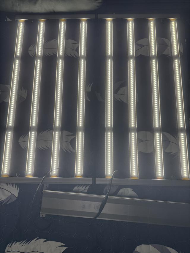 ขายไฟปลูกต้นไม้ Grow Supply Shop Thailand รูปที่ 2