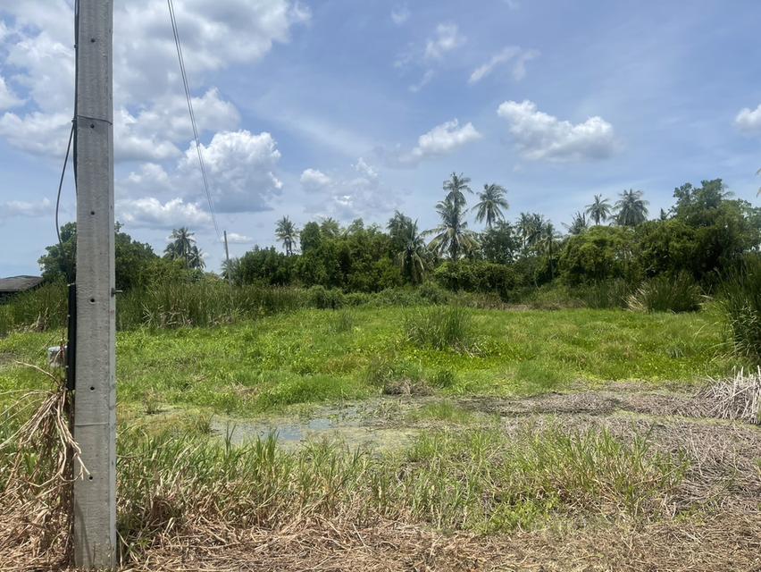 Land for sale in Nakhon Chai Si 10 rai near Central Salaya 5