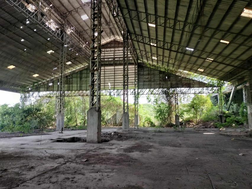 ขายที่ดินผังเมืองสีม่วง 4