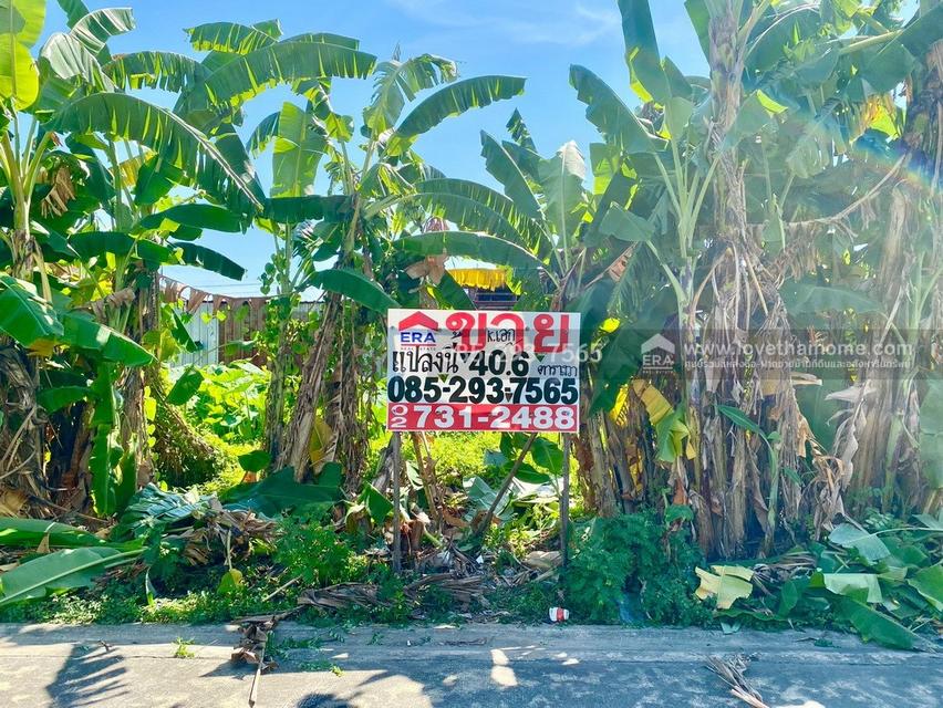 ขายที่ดิน ถนนสุขาภิบาล5 ซอย34 สายไหม แปลงสวย พื้นที่ 40.6 ตารางวา เข้าซอยเพียง 300 เมตร ใกล้จุดขึ้น-ลงทางด่วนสุขาภิบาล5 2