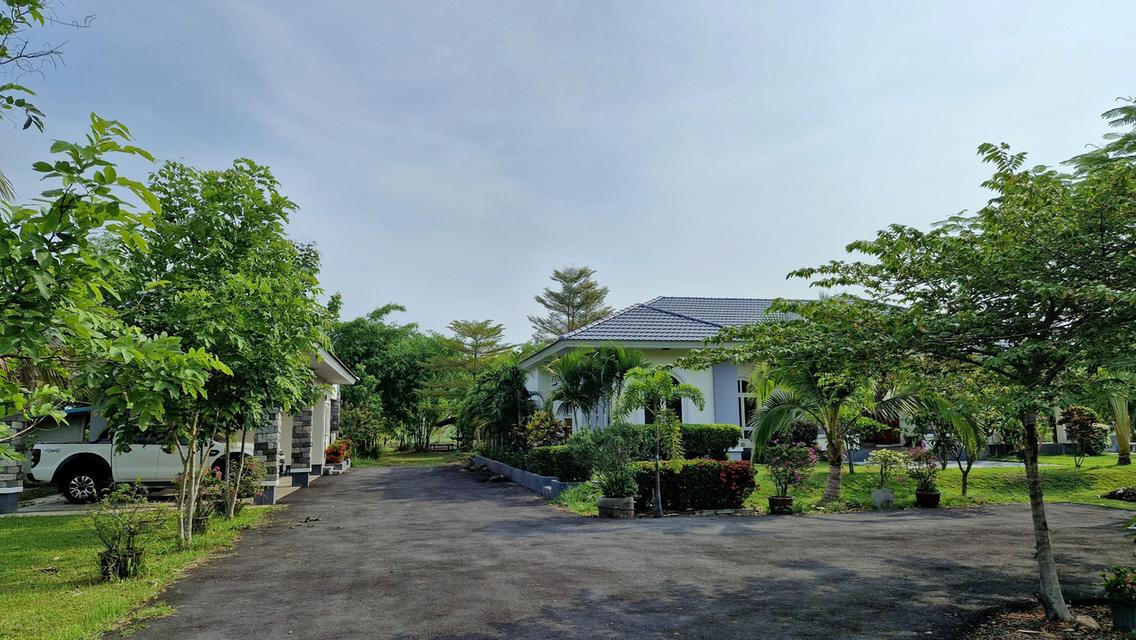 ขายบ้านสวนพร้อมที่ดินขนาดใหญ่ จ.อุดรธานี (H1SS-421) 15