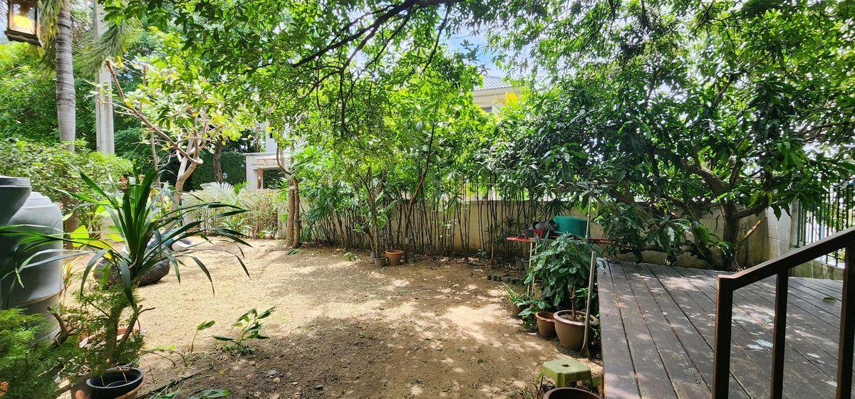 ขายบ้านเดี่ยว 2 ชั้น ม.ศุภาลัยออร์คิดปาร์ค 2 ซ.บางแวก 81 หันหน้าทิศใต้ ใกล้ซีคอนบางแค ถูกสุดในย่านนี้ 13