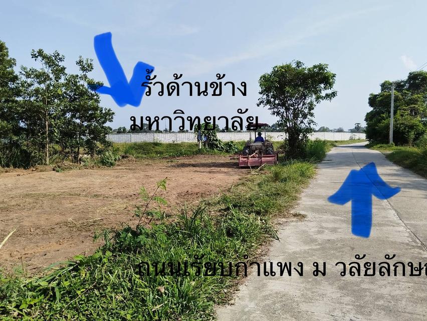 ขายที่ดิน ต.ไทยบุรี อ.ท่าศาลา นครศรีธรรมราช 4