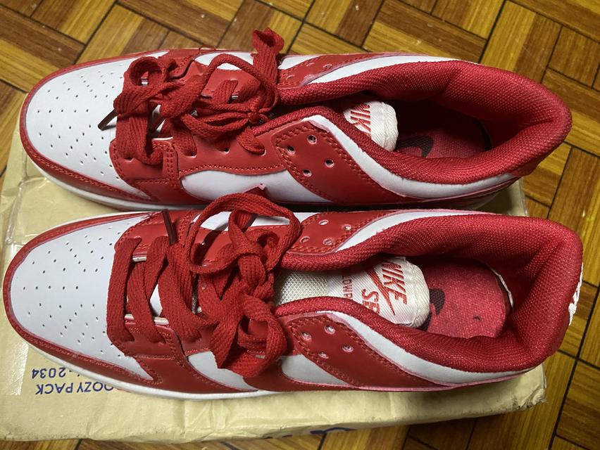 รองเท้า nikedunklow.