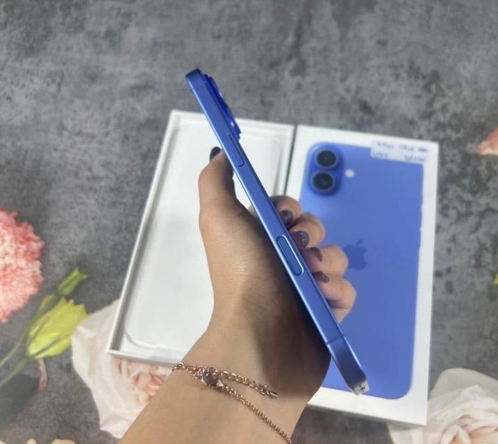 iPhone 16 plus สี Ultramarine  5