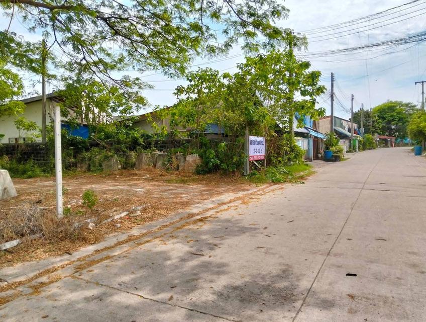 ที่ดิน 2 ไร่ 3 งาน ตัวเมืองระยอง ใกล้นิคม IRPC 1