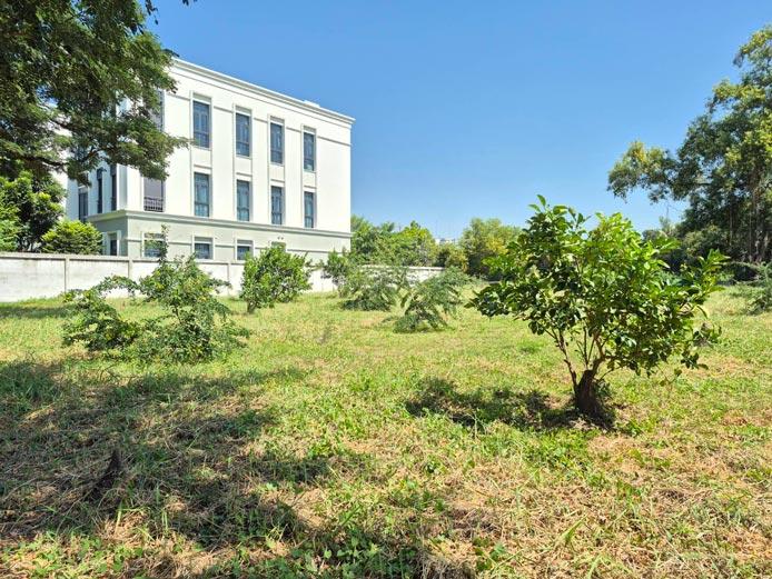 ที่ดิน หมู่บ้าน สวนเอก เลคปาร์ค ลําลูกกา ปทุมธานี 14