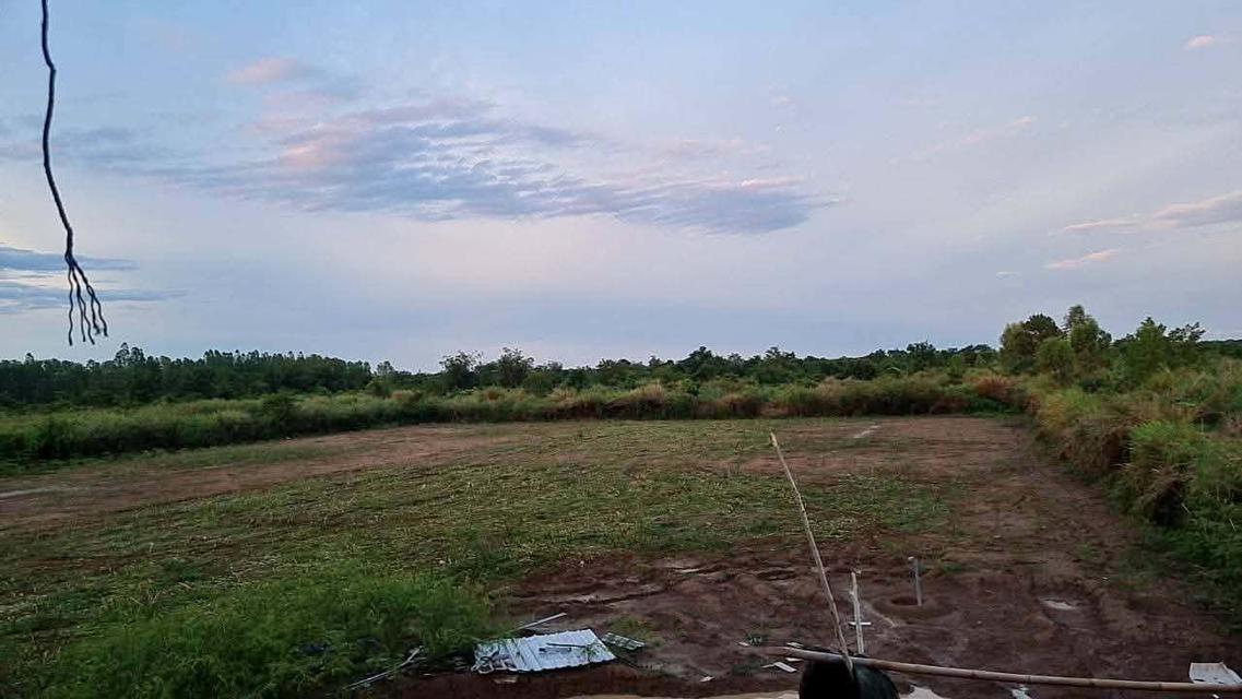 ขายที่ดินไฮหย่องพร้อมสิ่งปลูกสร้าง 98 ไร่ ติดคลอง ใกล้วัดหนองนกกด-2กม. อ.พังโคน จ.สกลนคร 1