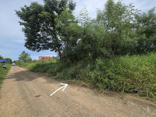 ขายที่ดินถมแล้ว 100 ตร.ว คลองห้า ปทุมธานี ทำเลดี ใกล้ราชมงคล 5