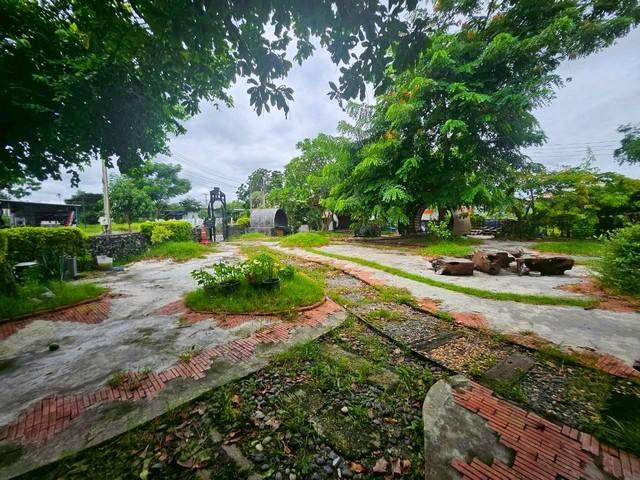 ขายและให้เช่าที่ดินพร้อมสิ่งปลูกสร้างอมตะนครชลบุรี ให้เช่ากิจการร้านอาหารเครื่องดื่มพานทองอมตะ บนที่ดิน 393 ตรว 6
