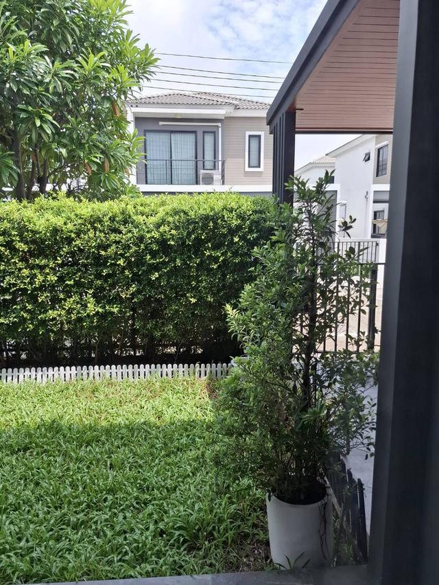 บ้านแฝด35.6 ตรว บางบัวทองเส้น 340 8