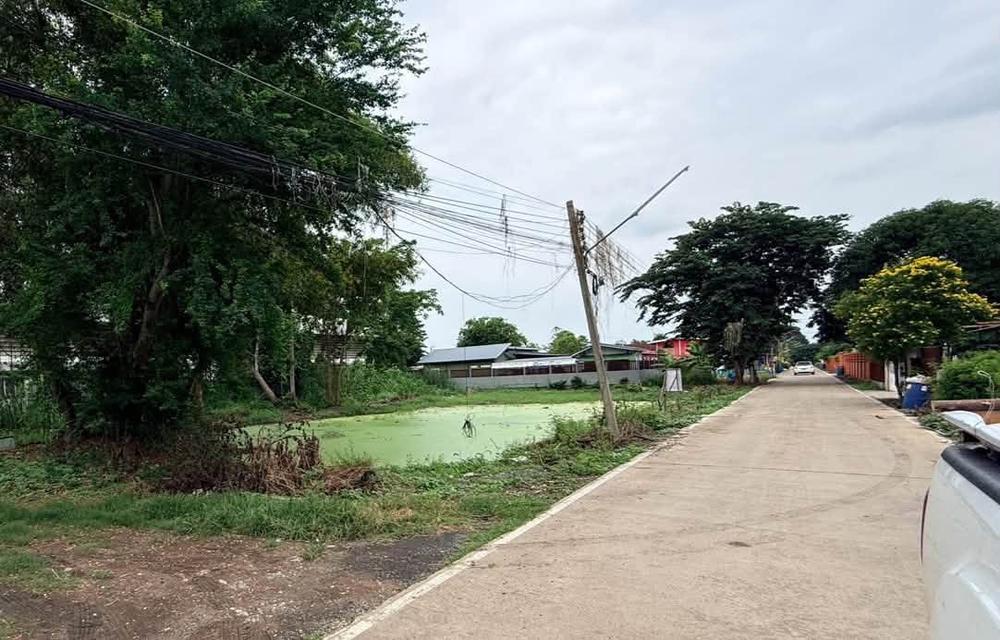 ขายด่วนที่ดิน 1 ไร่ ติดถนนคอนกรีตสาธารณะ ซ.คลองสาม 12/19 คลองหลวง ปทุมธานี 11