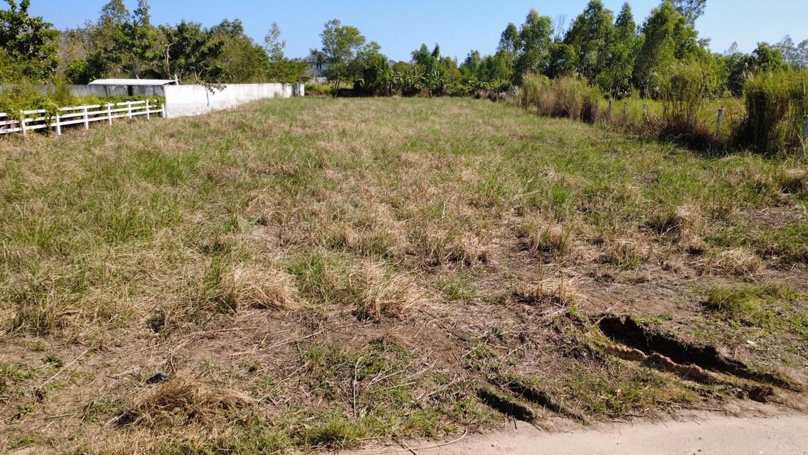 ที่ดินวิวเขายายดา ระยอง 3