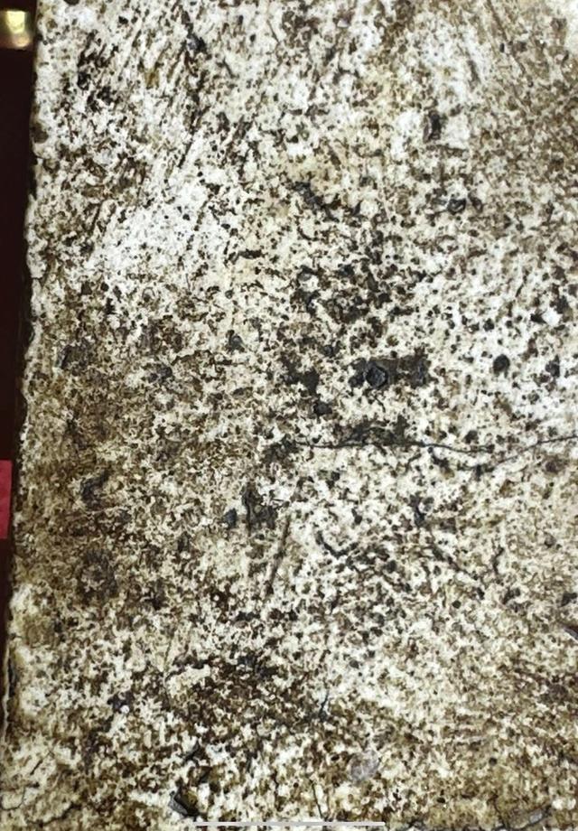 พระสมเด็จทันยุคของแท้ 13