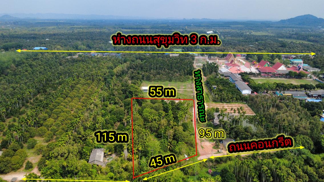 สวนทุเรียนแปลงเล็กระยอง 1