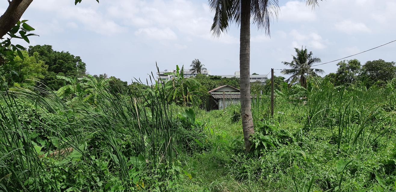 ขายที่ดินจรัญสนิทวงศ์ 23  จำนวน  8 ไร่ 2 งาน 15 ตารางวา 10