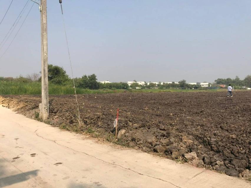 ที่ดินเปล่าถมแล้ว พื้นที่ 2 ไร่ 36 ตรว. ราคาขาย 3.5 ล้านบาท  7