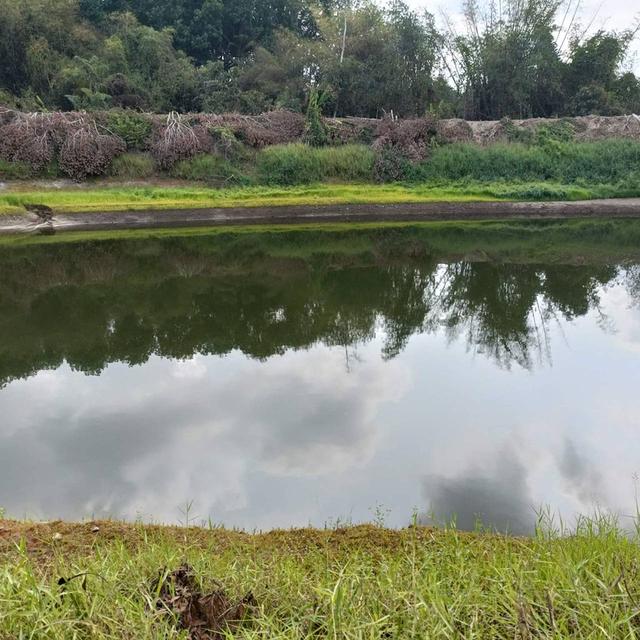 📣ขายสวนทุเรียน100ไร่ เขาไร่ยาอำเภอเมืองจันทบุรี 7