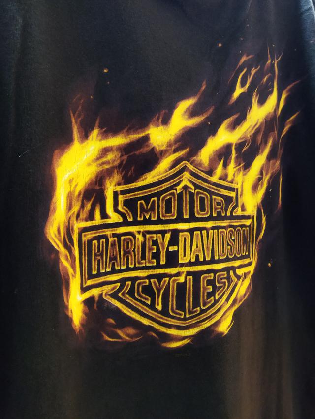 เสื้อยืด ฮาร์เลย์ เดวิดสัน Harley Davidson ตอกปี2010 size L สภาพ8/10 รูปที่ 15