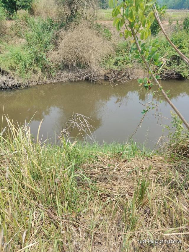 วงศวัฒน์ปัญญาวุฒิวงษ์ 4