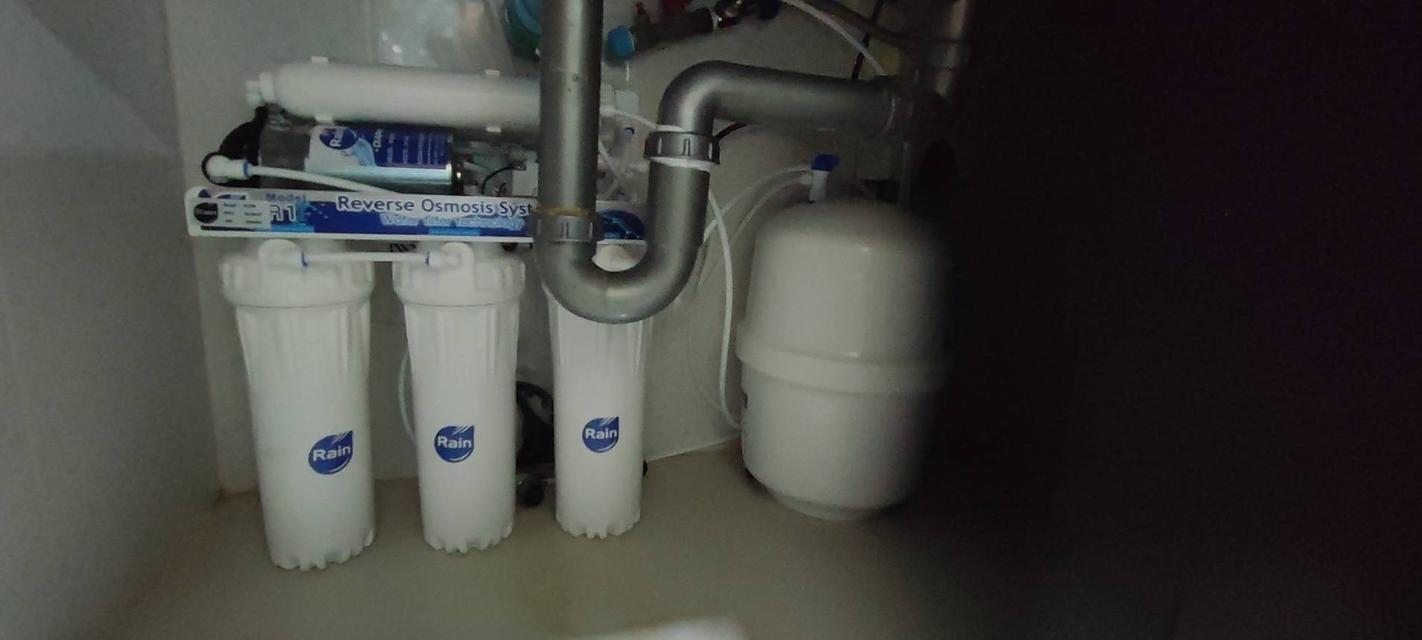 Rent Luxury Condo big size 265 sqm. 3 Beds 9