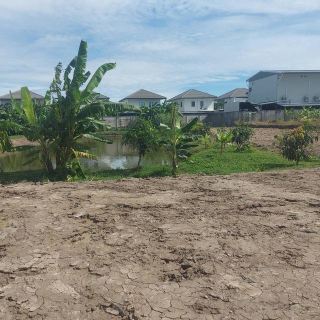 ที่ดินเปล่า​2ไร่215ตารางวา 4